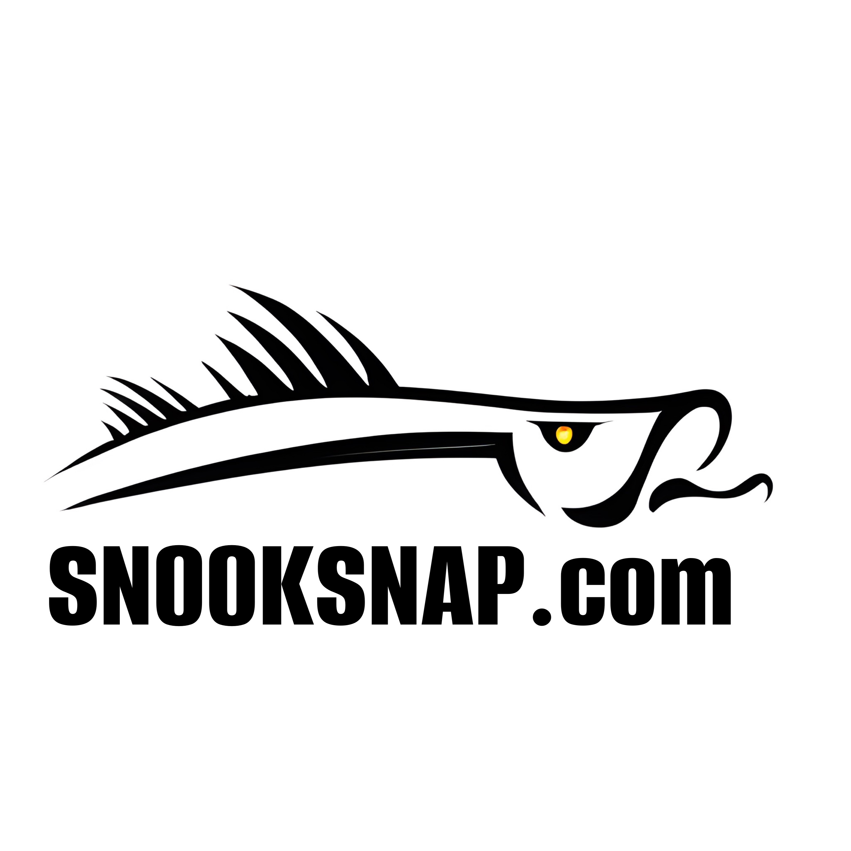 SnookSnap Logo